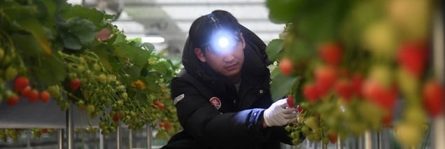 내년까지 청년농업인 2만 3000명 육성…영농정착지원사업 확대 내년까지 청년농업인 2만 3000명 육성…영농정착지원사업 확대