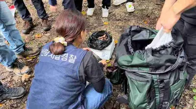 가을철 산림 내 불법행위 집중단속