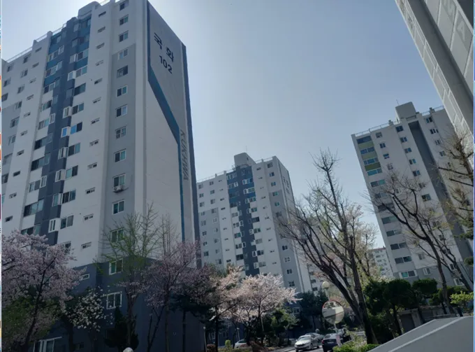 대전 둔산동 국화아파트 대전 둔산동 국화아파트