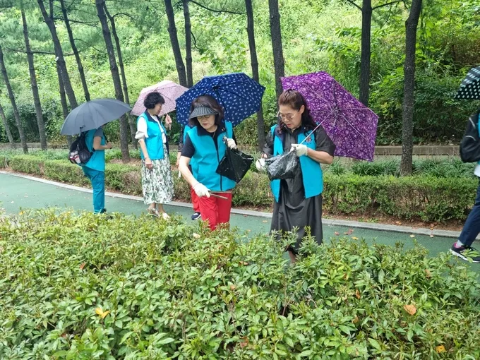 장수공원 일대를 청소하는 재향군인회 여성회 장수공원 일대를 청소하는 재향군인회 여성회