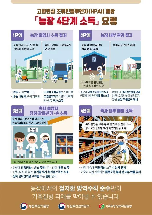 전남 무안군 종오리 농장,H5형 고병원성 조류인플루엔자 확진 전남 무안군 종오리 농장,H5형 고병원성 조류인플루엔자 확진