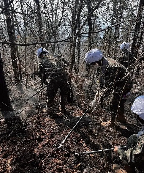 산불진화 군(軍) 지원 병력 안전관리 강화 산불진화 군(軍) 지원 병력 안전관리 강화