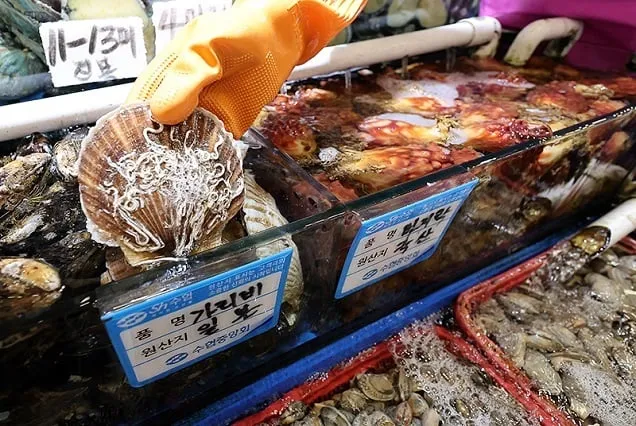 정부, 수입 수산물 모니터링…“모두 삼중수소 불검출” 정부, 수입 수산물 모니터링…“모두 삼중수소 불검출”