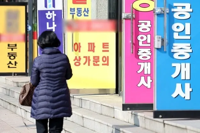 공인중개사 확인·설명 의무 강화된다…전세사기 예방 조치 공인중개사 확인·설명 의무 강화된다…전세사기 예방 조치