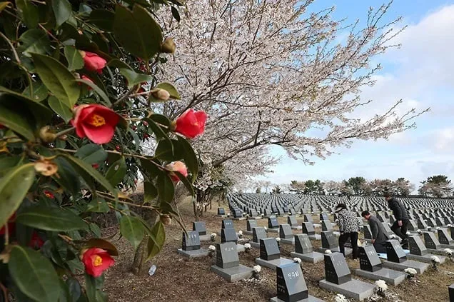 “날아라 평화의 씨”…제주4·3 희생자 추념식 개최 “날아라 평화의 씨”…제주4·3 희생자 추념식 개최