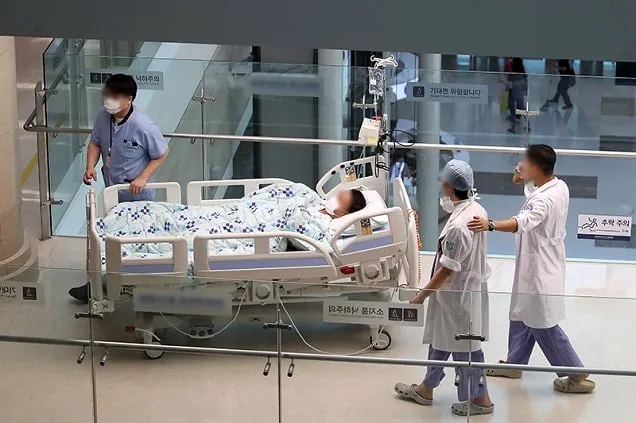 신장이식 수가 최대 186% 인상…“합당한 보상 이뤄지도록” 신장이식 수가 최대 186% 인상…“합당한 보상 이뤄지도록”