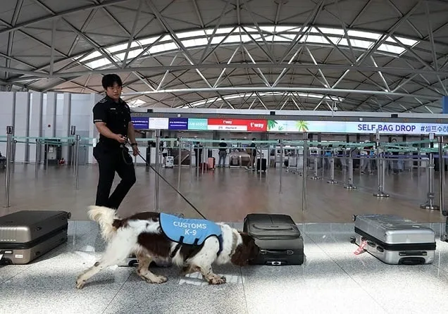 하반기에도 마약과의 전쟁…모든 입영 대상자 마약류 검사 하반기에도 마약과의 전쟁…모든 입영 대상자 마약류 검사