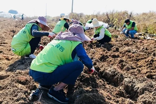 농번기 안정적 인력 공급 지원…공공형 계절근로 3배 이상 확대 농번기 안정적 인력 공급 지원…공공형 계절근로 3배 이상 확대