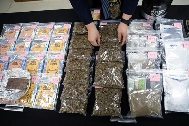 올 상반기 마약 공급범 검거 30% ↑…하반기도 고강도 단속 올 상반기 마약 공급범 검거 30% ↑…하반기도 고강도 단속